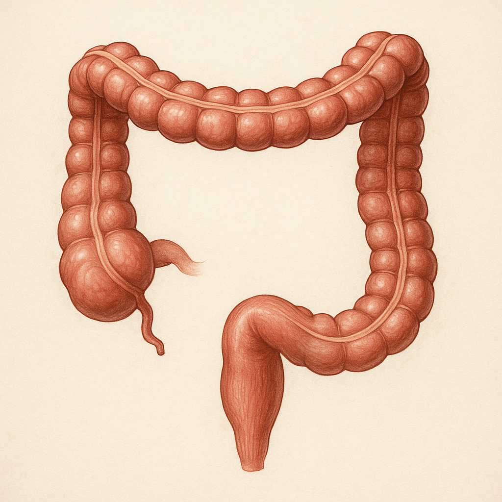 colon health